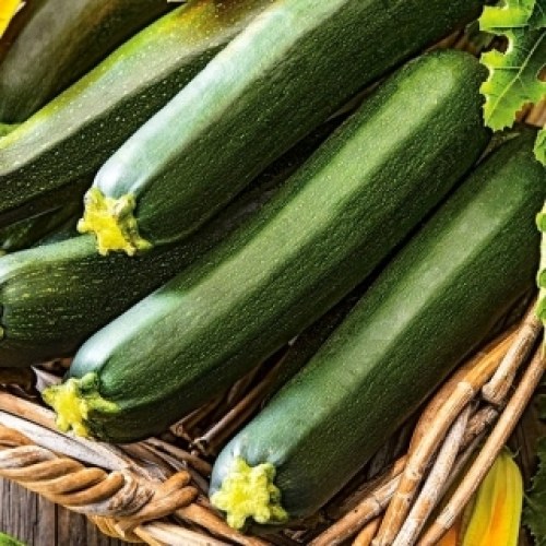 Cukinia-Astra-Polka_1