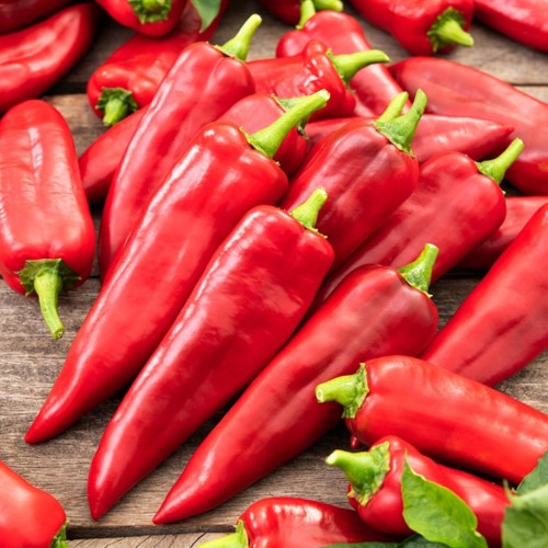 Papryka-Ostra-Cyklon